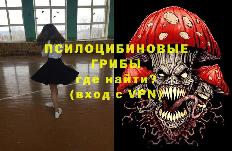 omg ссылка  сайты даркнета формула  Дедовск  Галлюциногенные грибы Psilocybe  наркота 